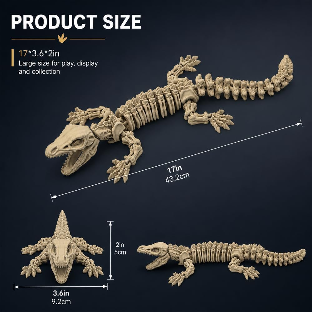 17 in Mosasaurus Skeleton, Articulated - Bone