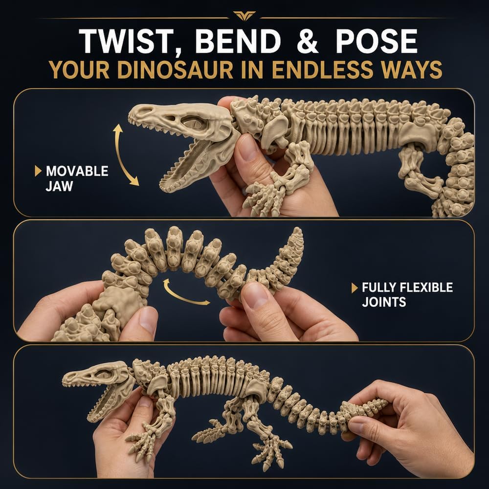 17 in Mosasaurus Skeleton, Articulated - Bone