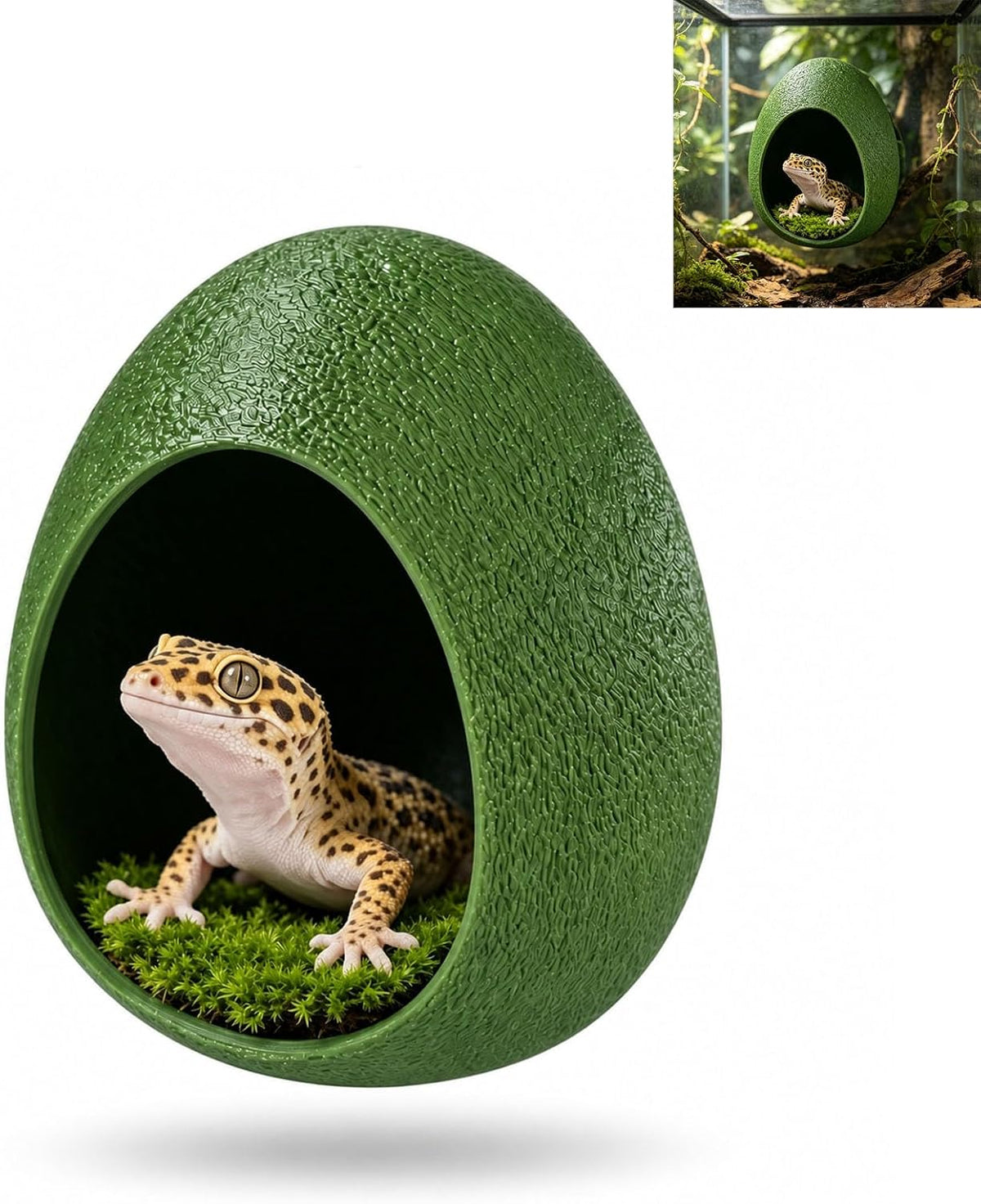 Gecko Hide Cave with Suction Cups - view 7