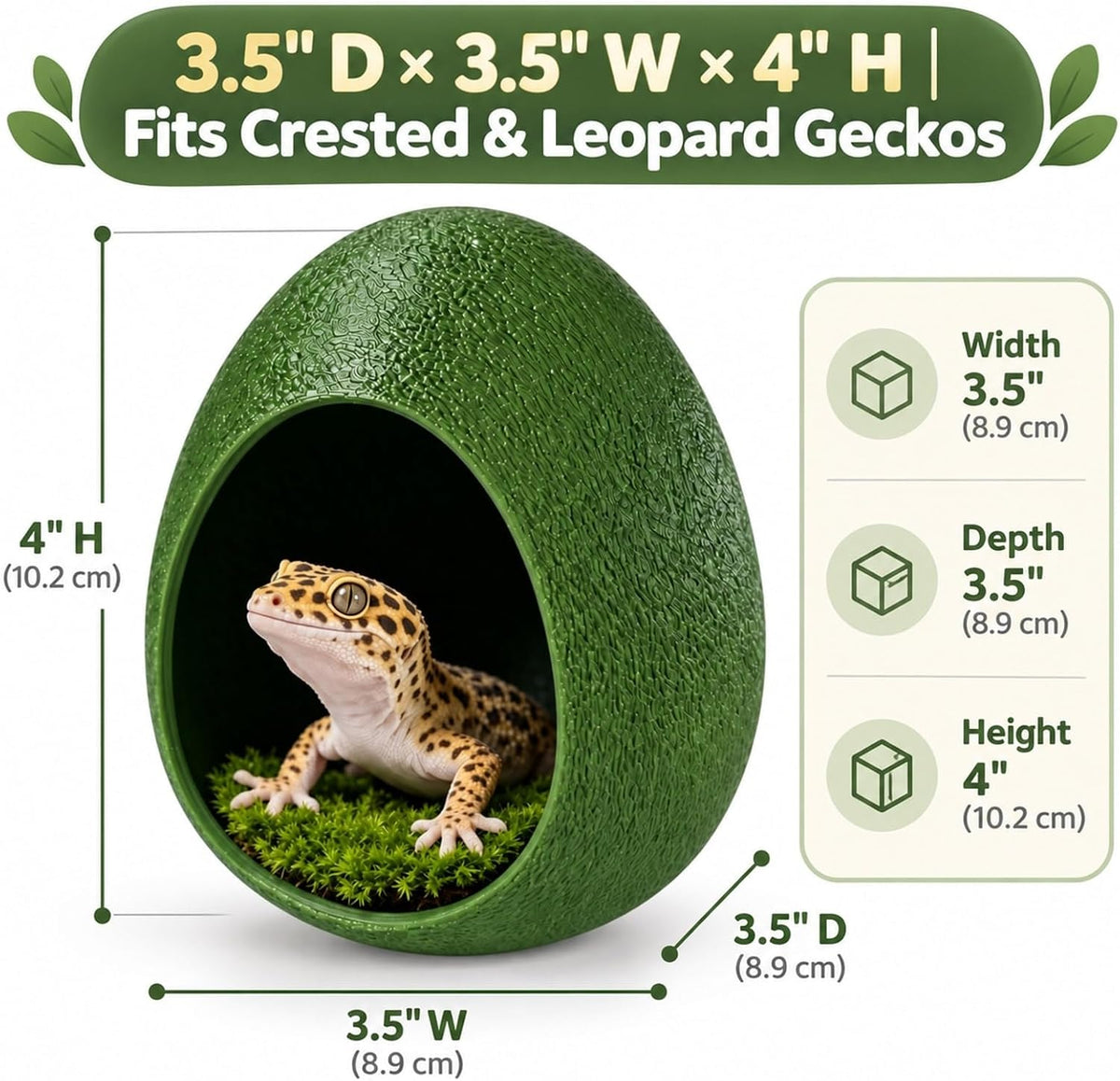 Gecko Hide Cave with Suction Cups - view 2