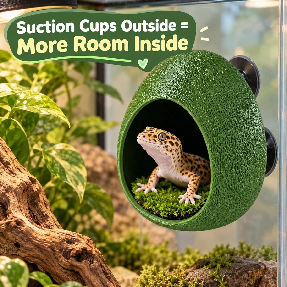 Gecko Hide Cave with Suction Cups - view 1